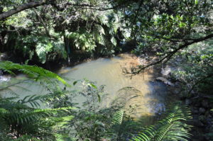 waterfall from the top